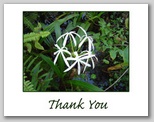 Business Thank You Cards